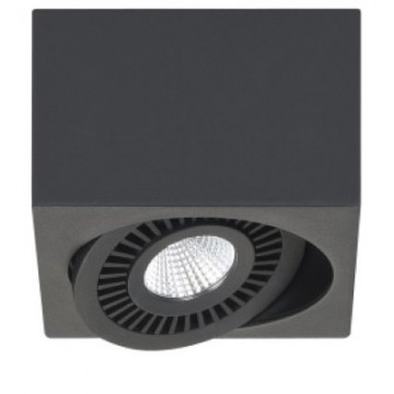 Spot zwart eye 1 lichts the lights company